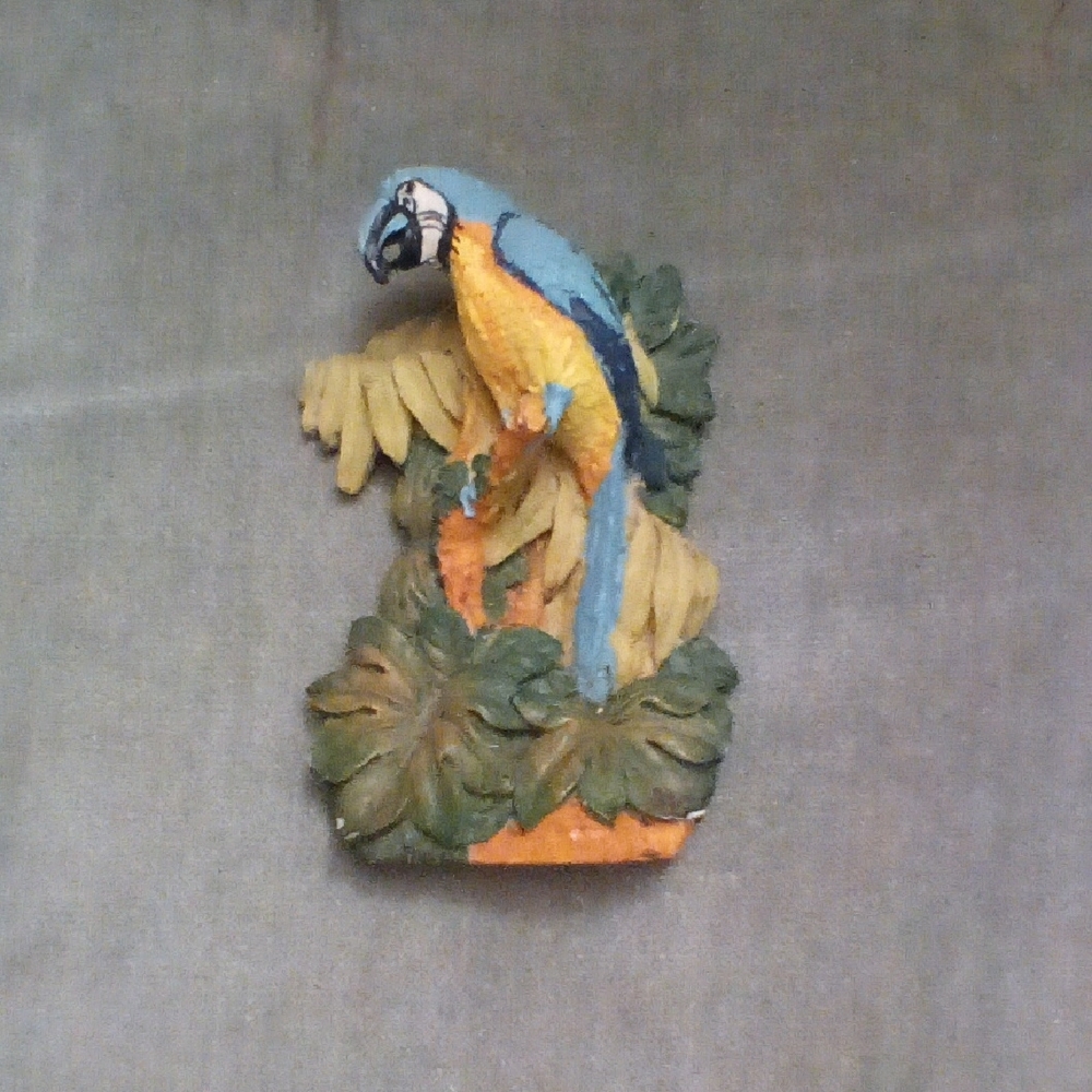 Colorful Parrot Wall Decor for Bird Lovers